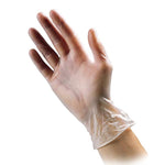 Food Preparation Powdered Vinyl Gloves (Clear) - Cameron Coffee Company